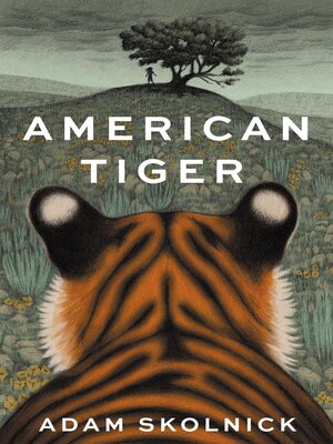 cover image of American Tiger